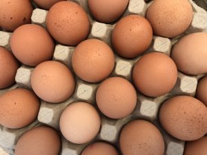 Unsere Eier für das Pflegeheim in Bloherfelde